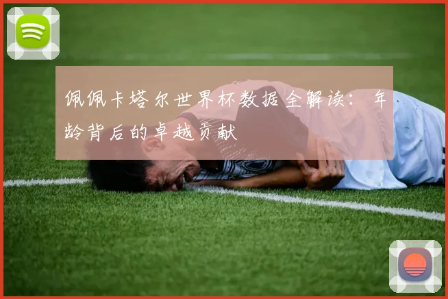 佩佩卡塔尔世界杯数据全解读：年龄背后的卓越贡献