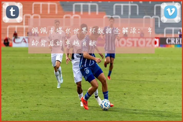 佩佩卡塔尔世界杯数据全解读：年龄背后的卓越贡献