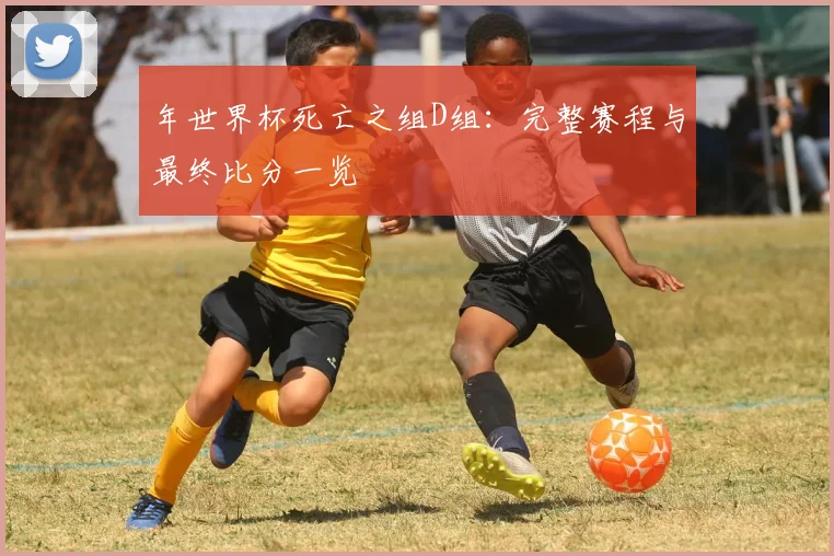 年世界杯死亡之组D组:完整赛程与最终比分一览