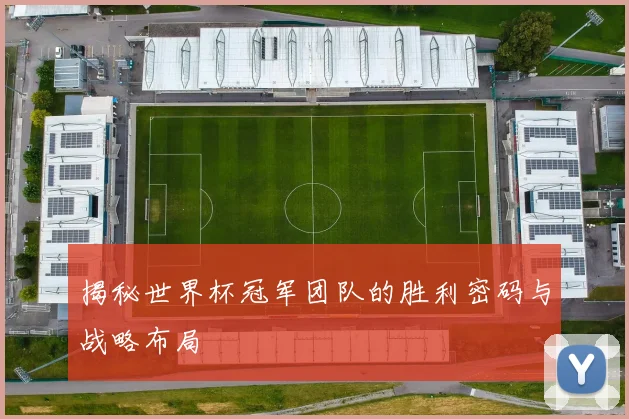 揭秘世界杯冠军团队的胜利密码与战略布局