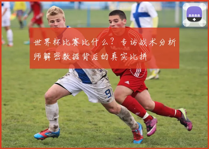 世界杯比赛比什么？专访战术分析师解密数据背后的真实比拼