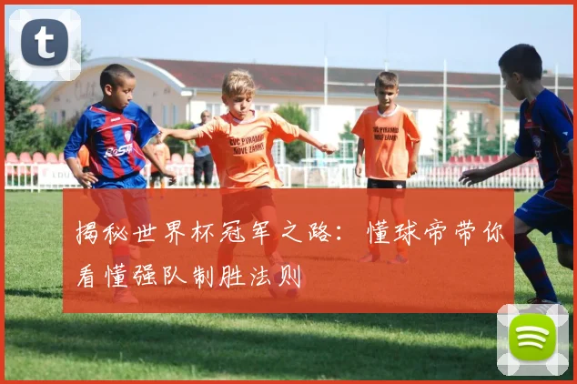 揭秘世界杯冠军之路：懂球帝带你看懂强队制胜法则