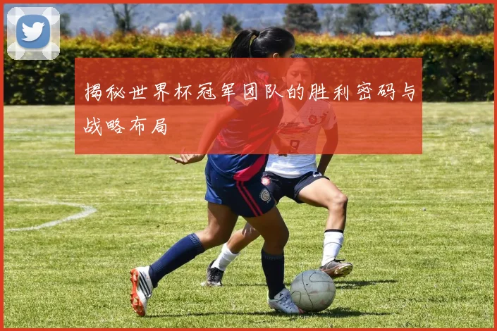 揭秘世界杯冠军团队的胜利密码与战略布局