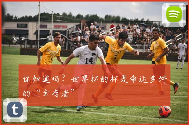 你知道吗？世界杯的杯是命运多舛的“幸存者”