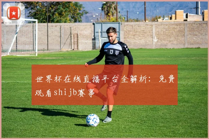 世界杯在线直播平台全解析：免费观看shijb赛事